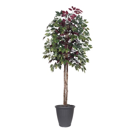 Dare2Decor 6 ft. Artificial Capensia Tree in Round Gray Container, Green & Red DA3254617